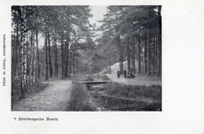 10128 Gezicht op een pad en een spreng met bruggetje in een gemengd bos bij Driebergen. N.B.De gemeenten Driebergen en ...